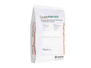 GuanAMINO