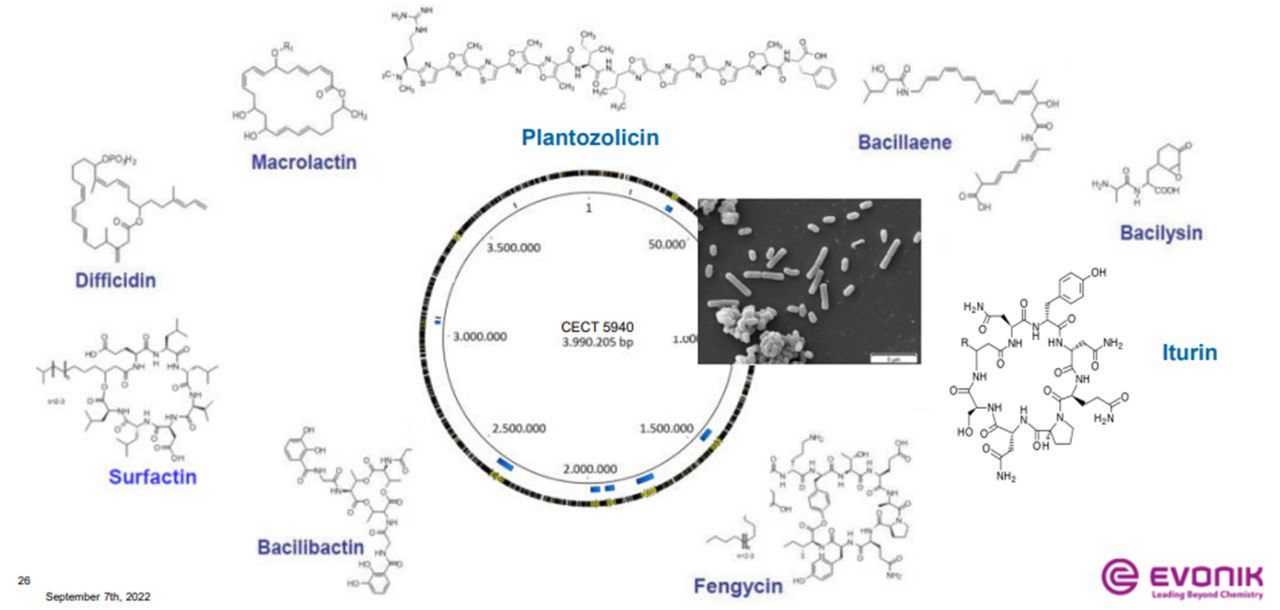 پروبیوتیک اکوبیول پلاس(Ecobiol Plus)